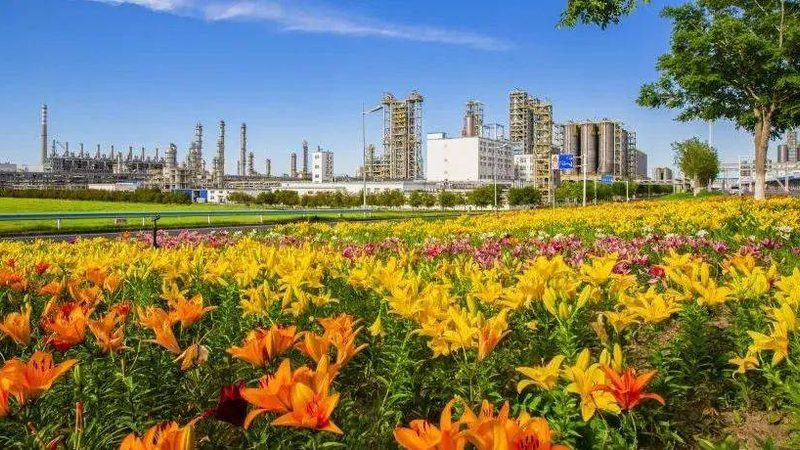 塑料原料型号参数与性能对比：揭秘材料工程师的选择逻辑